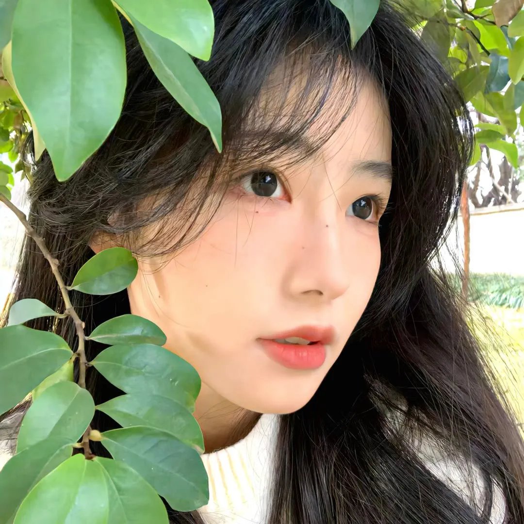 现实之舞